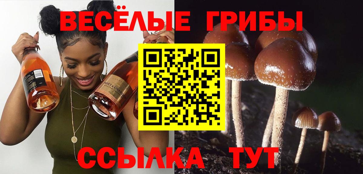 Ноябрьск  цена наркотик  Вход с VPN  Псилоцибиновые грибы Psilocybine cubensis  Псилоцибиновые грибы Psilocybe 